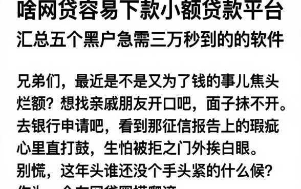 啥网贷容易下款小额贷款平台，汇总五个黑户急需三万秒到的的软件