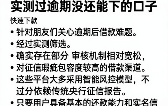 实测过逾期没还能下的口子,条列5个快速下款无视征信的平台