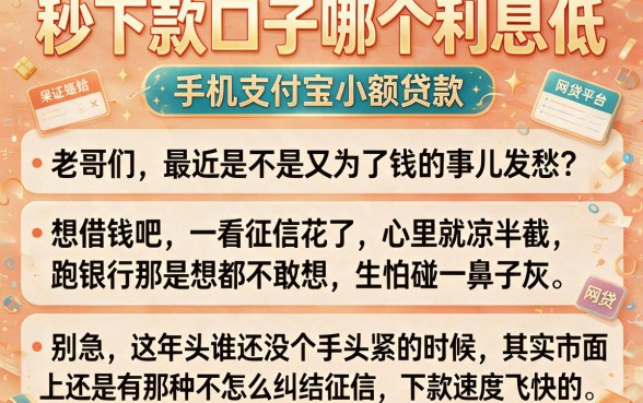 秒下款口子哪个利息低，概括5个手机支付宝小额贷款的平台