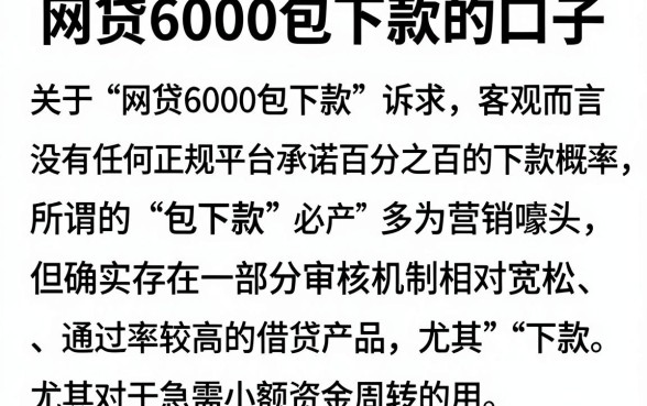 网贷6000包下款的口子,细致阐述五个逾期必下款的平台