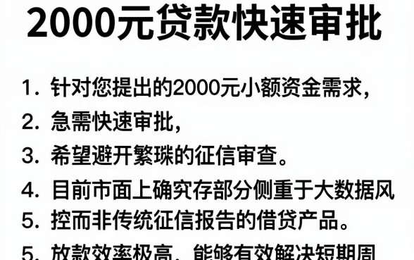 2000元贷款快速审批,概括5个快速下款无视征信的app