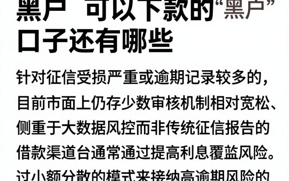 黑户可以下款的口子还有哪些,概览五个逾期太多仍可下款的软件