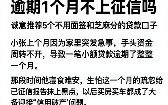 逾期1个月不上征信吗,诚意推荐5个不用面签和芝麻分的贷款口子