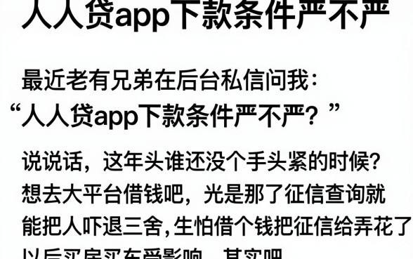 人人贷app下款条件严不严，概括5个可以借钱不用审核的平台