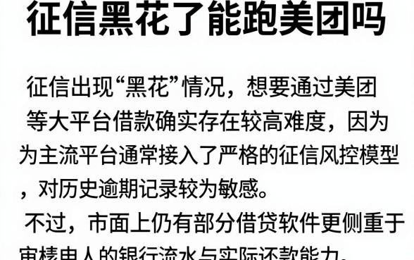 征信黑花了能跑美团吗,概览五个看银行流水的网贷软件