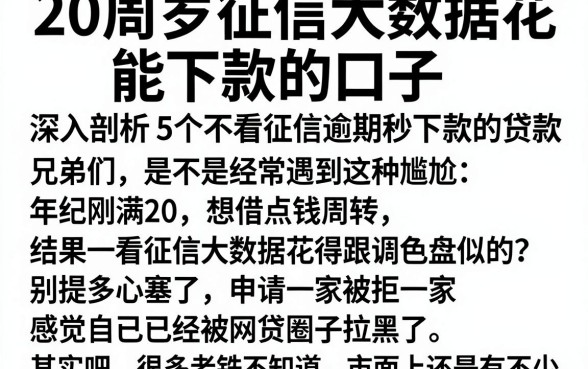 20周岁征信大数据花能下款的口子,深入剖析5个不看征信逾期秒下款的贷款