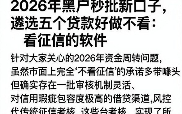 2026年黑户秒批新口子，遴选五个贷款好做不看征信的软件