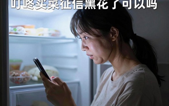 叮咚买菜征信黑花了可以吗,整合5个20岁借钱不求征信速借软件