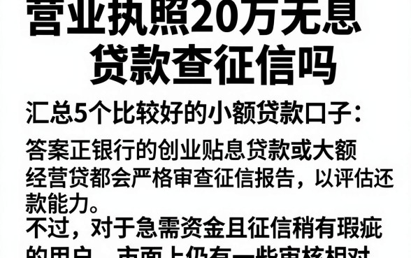 营业执照20万无息贷款查征信吗,汇总5个比较好的小额贷款口子