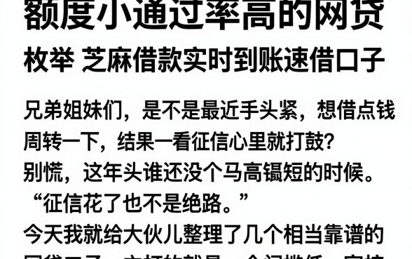 额度小通过率高的网贷,枚举5个芝麻借款实时到账速借口子