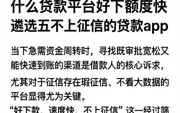 什么贷款平台好下额度快,遴选五个不上征信的贷款app