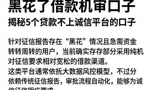 黑花了借款机审口子,揭秘5个贷款不上诚信平台的口子