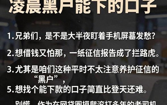 凌晨黑户能下的口子,枚举5个借款快的网贷软件