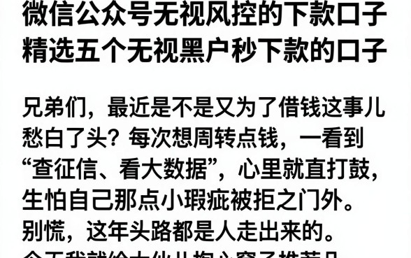 微信公众号无视风控的下款口子，精选五个无视黑户秒下款的口子