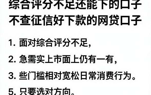 综合评分不足还能下的口子,理出5个不查征信好下款的网贷口子
