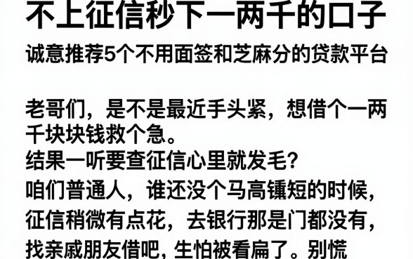 不上征信秒下一两千的口子,诚意推荐5个不用面签和芝麻分的贷款平台