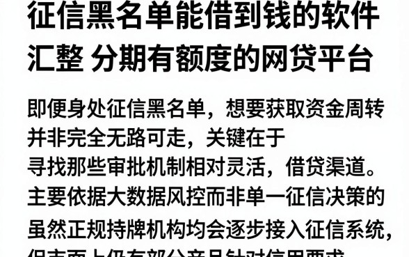 征信黑名单能借到钱的软件,汇整五个分期有额度的网贷平台