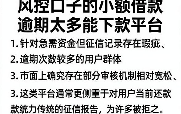 风控口子的小额借款,理出5个逾期太多能下款平台