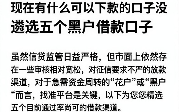 现在有什么可以下款的口子没,遴选五个黑户借款口子