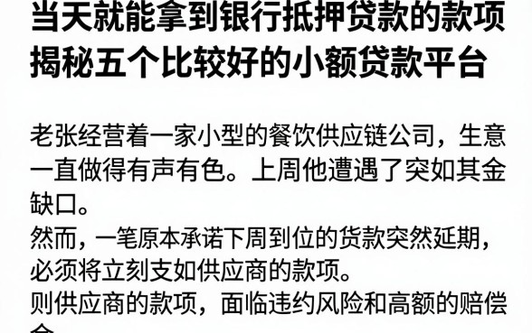 当天就能拿到银行抵押贷款的款项,揭秘五个比较好的小额贷款平台