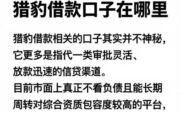 猎豹借款口子在哪里，深入剖析五个不看负债的长期网贷软件