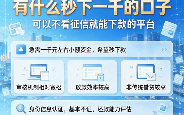 有什么秒下一千的口子，梳理五个可以不看征信就能下款的平台