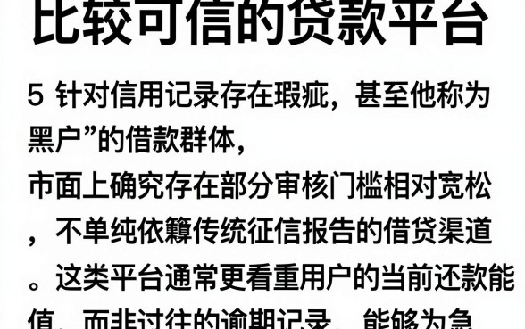 比较可信的贷款平台,概括5个黑户可以借款的网贷app