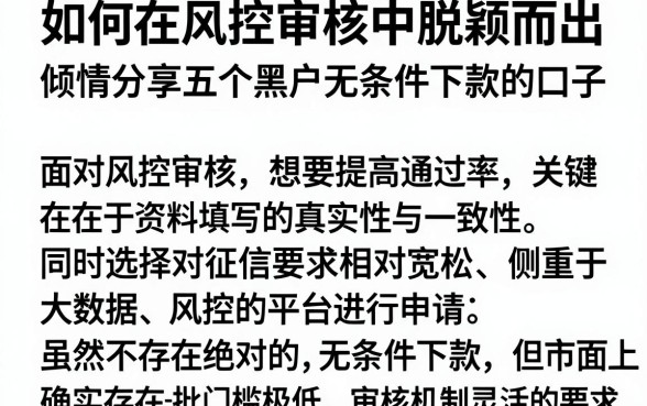 如何在风控审核中脱颖而出,倾情分享五个黑户无条件下款的口子