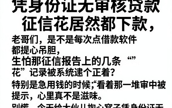 凭身份证无审核贷款，罗列五个征信花居然都下款的软件