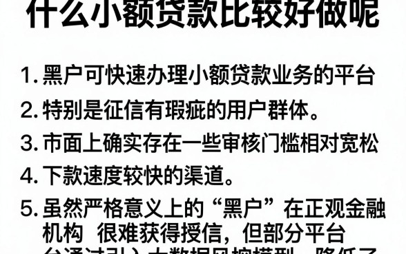 什么小额贷款比较好做呢,条列5个黑户可快速办理小额贷款业务的平台