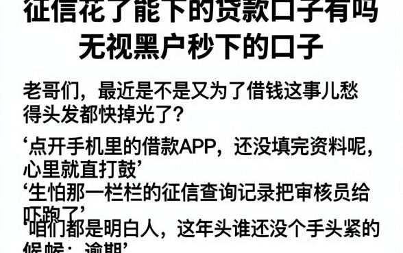 征信花了能下的贷款口子有吗，整合五个无视黑户秒下的口子
