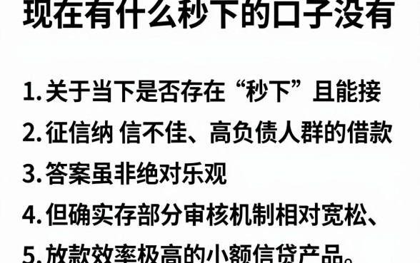 现在有什么秒下的口子没有,罗列五个征信不好负债高的口子