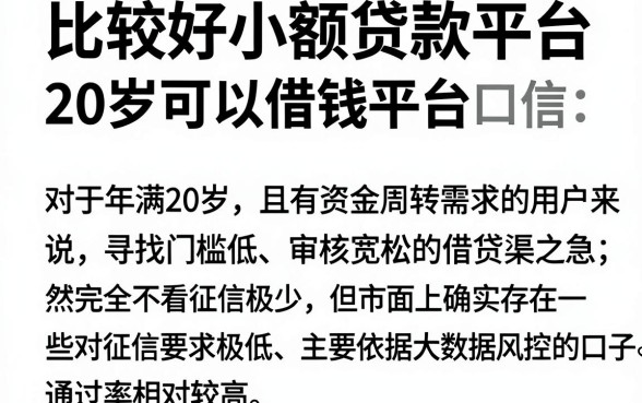 比较好小额贷款平台,整合五个20岁可以借钱平台不查征信的口子
