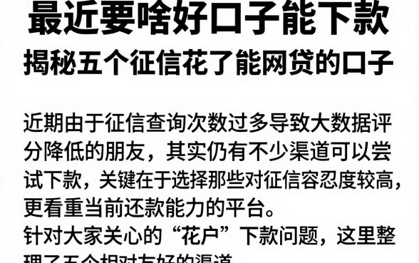 最近要啥好口子能下款，揭秘五个征信花了能网贷的口子