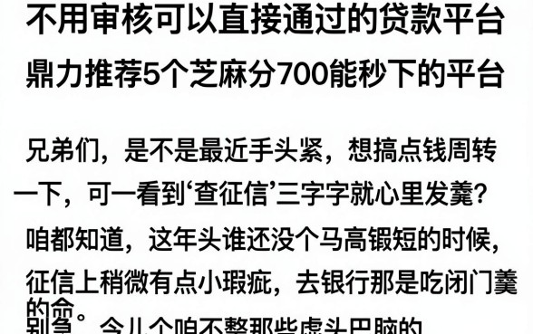 不用审核可以直接通过的贷款平台,鼎力推荐5个芝麻分700能秒下的平台