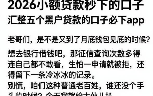 2026小额贷款秒下的口子,汇整五个黑户贷款的口子必下app