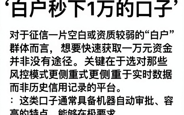 白户秒下1万的口子,细致阐述5个无视黑白户秒过的网贷