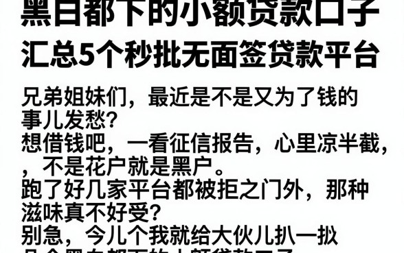 黑白都下的小额贷款口子,汇总5个秒批无面签贷款平台