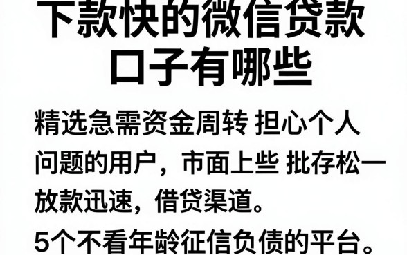 下款快的微信贷款口子有哪些,精选5个不看年龄征信负债的平台