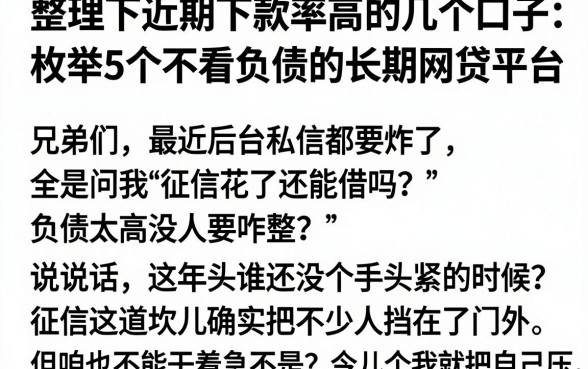 整理下近期下款率高的几个口子，枚举5个不看负债的长期网贷平台