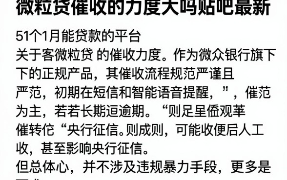 微粒贷催收的力度大吗贴吧最新,详细阐述5个11月能贷款的平台