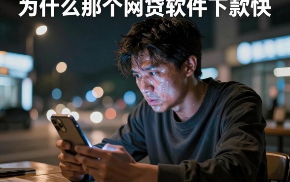 为什么那个网贷软件下款快,概览五个百分百下款无视黑白户网贷软件