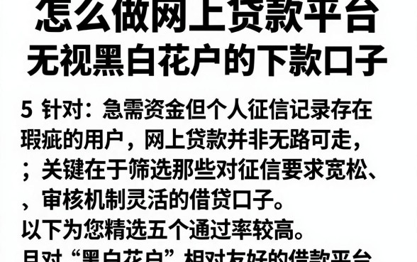 怎么做网上贷款平台，整理5个无视黑白花户的下款口子