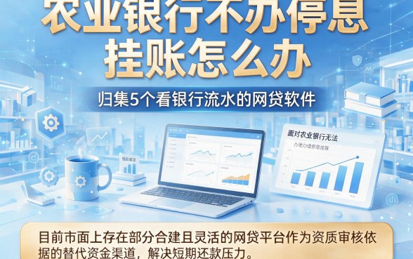 农业银行不办停息挂账怎么办，归集5个看银行流水的网贷软件