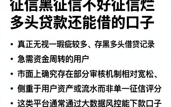征信黑征信不好征信烂多头贷款还能借的口子,概括五个真正无视一切黑能下款口子