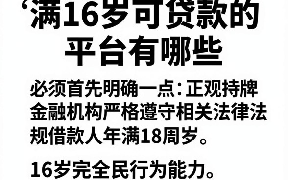 满16岁可贷款的平台有哪些,整合5个贷款好做不看征信的软件