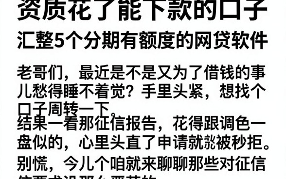 资质花了能下款的口子,汇整5个分期有额度的网贷软件