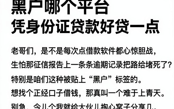 黑户哪个平台凭身份证贷款好贷一点,整合五个比较好的小额贷款app