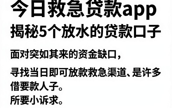 今日救急贷款app,揭秘5个放水的贷款口子