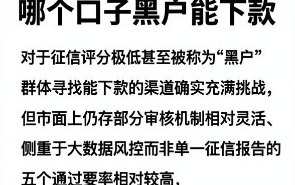 哪个口子黑户能下款,详细阐述五个无视评分的贷款平台